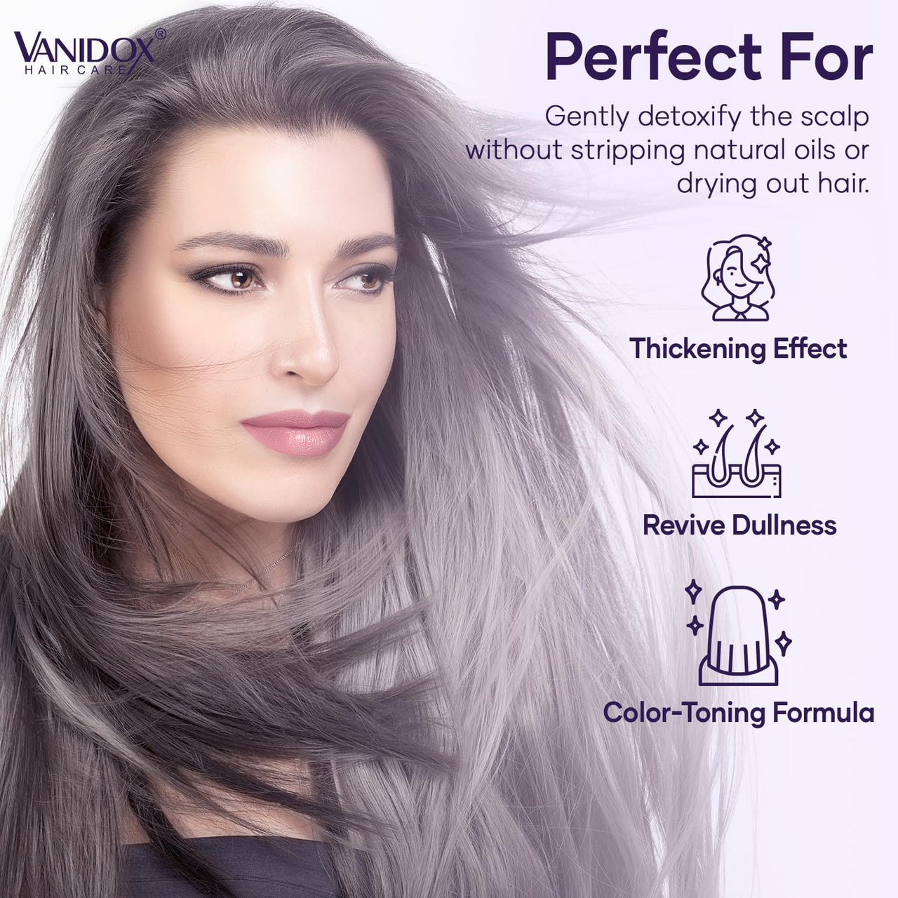 Sulfate-Free Purple Shampoo for Gray & Silver Hair, 16 fl oz for Women