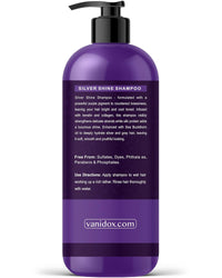 Thumbnail for Sulfate-Free Purple Shampoo for Gray & Silver Hair, 16 fl oz for Women