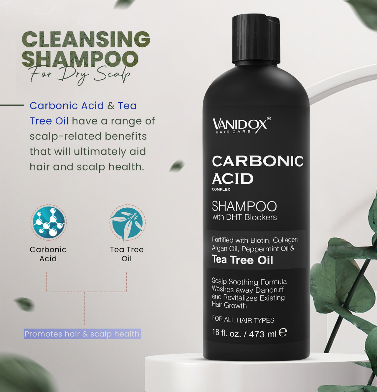 Carbonic Acid Shampoo and Conditioner | Revitalizes Hair Growth | Scalp Soothing Formula | Washes away Dandruff